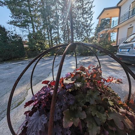 Paradeisos Residence Sas Somma Lombardo Dış mekan fotoğraf