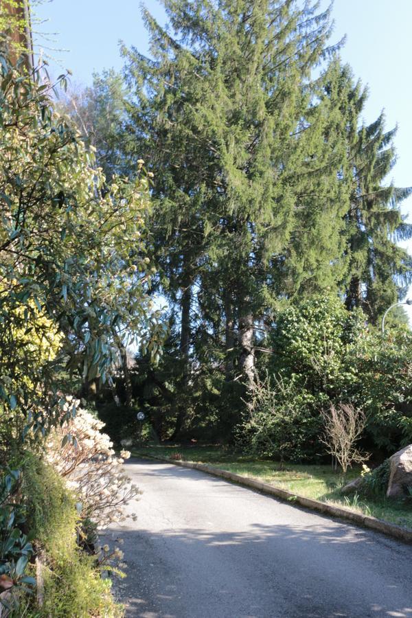 Paradeisos Residence Sas Somma Lombardo Dış mekan fotoğraf