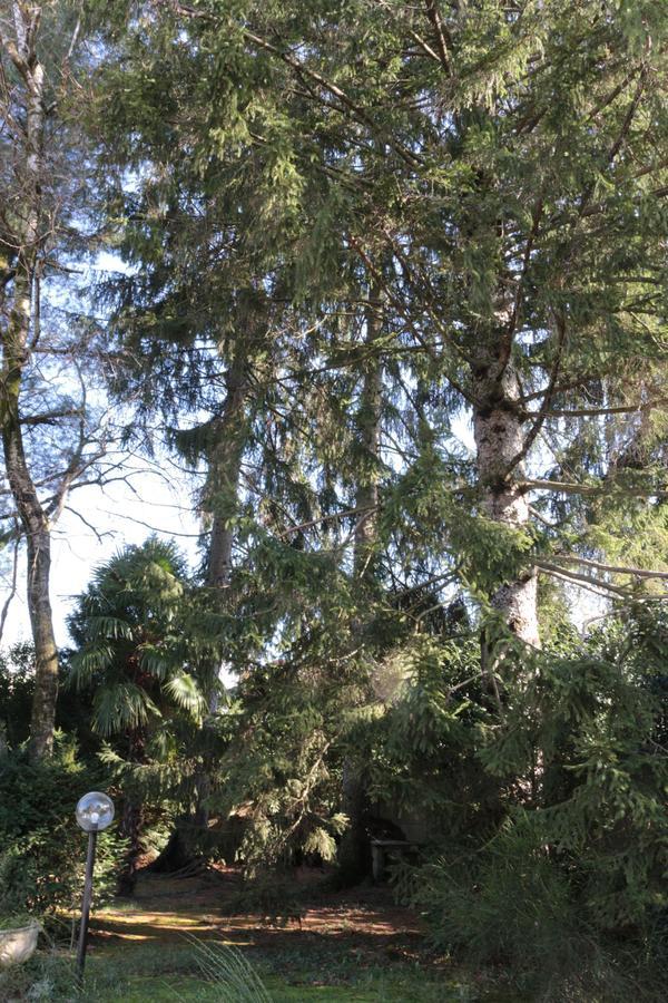 Paradeisos Residence Sas Somma Lombardo Dış mekan fotoğraf